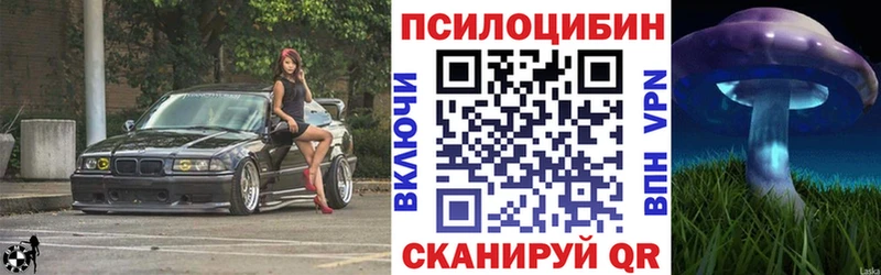 Галлюциногенные грибы Psilocybine cubensis Евпатория