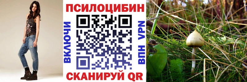 Псилоцибиновые грибы GOLDEN TEACHER hydra tor Евпатория